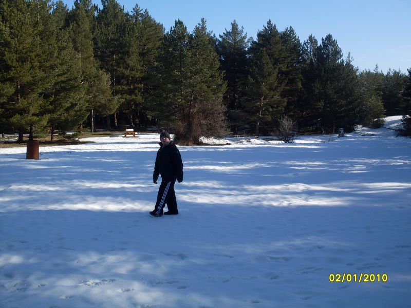 SDC12748.jpg