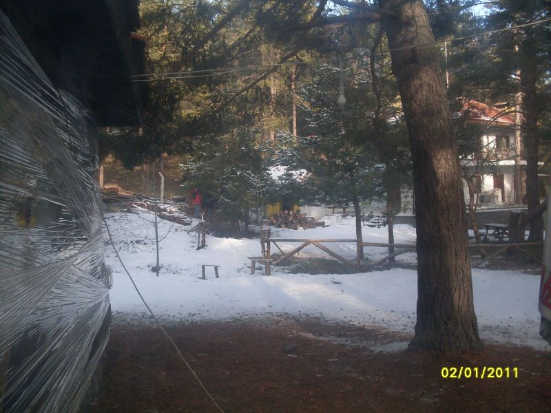 SDC12762.jpg