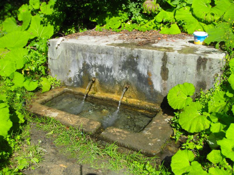 SDC13209.jpg