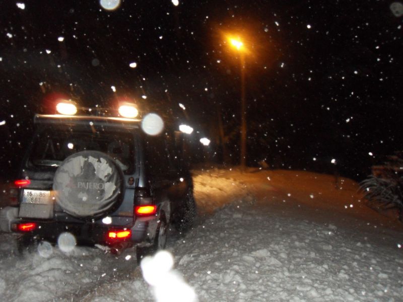 SDC13325 (1203 x 902).jpg