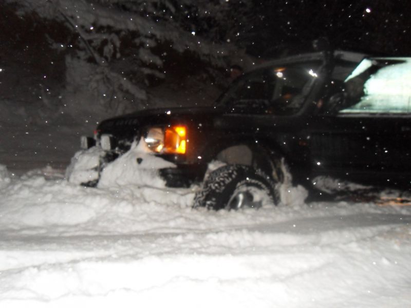 SDC13339 (1203 x 902).jpg