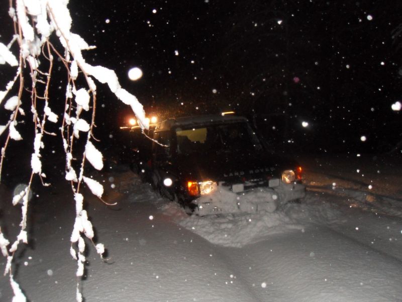 SDC13341 (1203 x 902).jpg