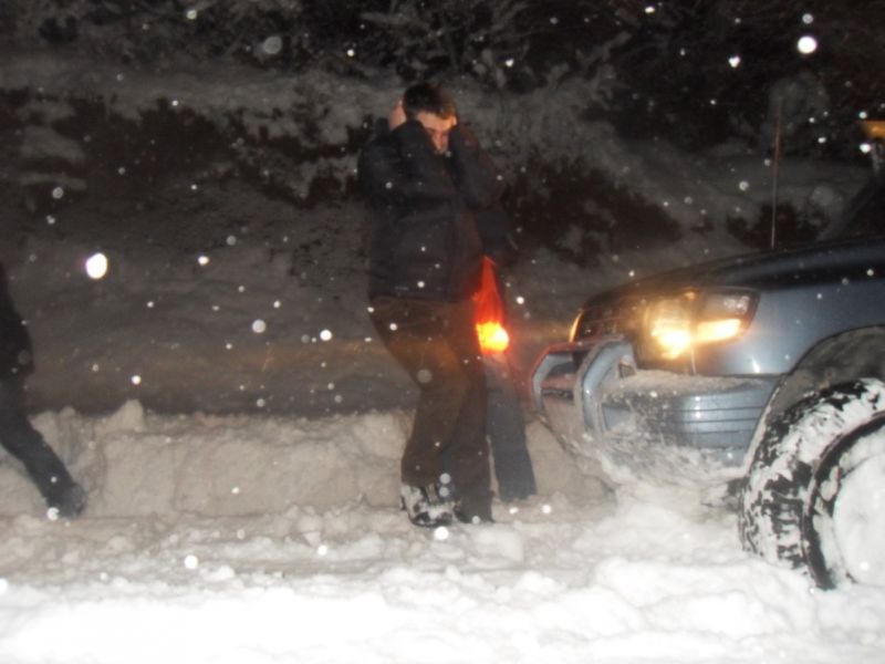 SDC13347 (1203 x 902).jpg