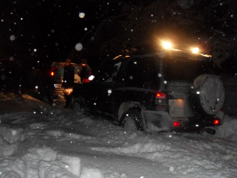 SDC13355 (1203 x 902).jpg