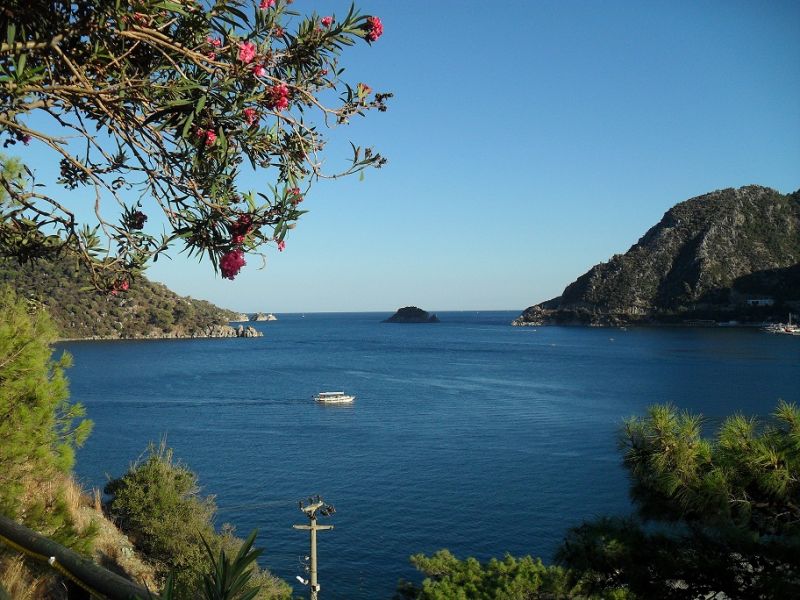 SDC13562.jpg