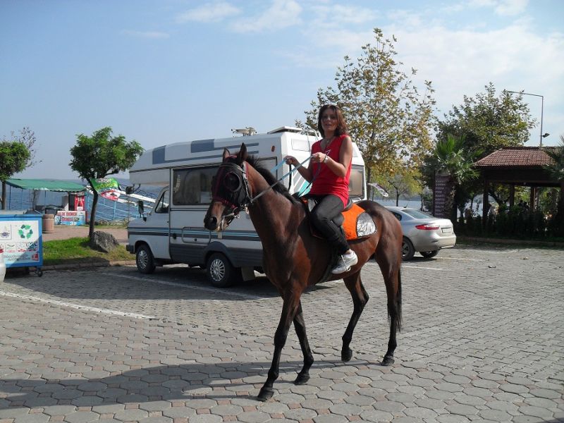 SDC13801.jpg