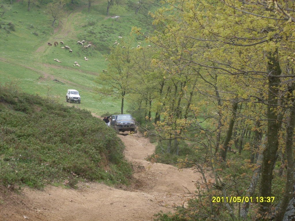 SDC14278.JPG