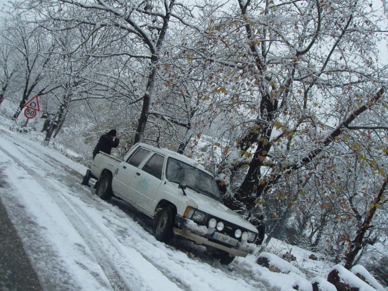 SDC14608.jpg