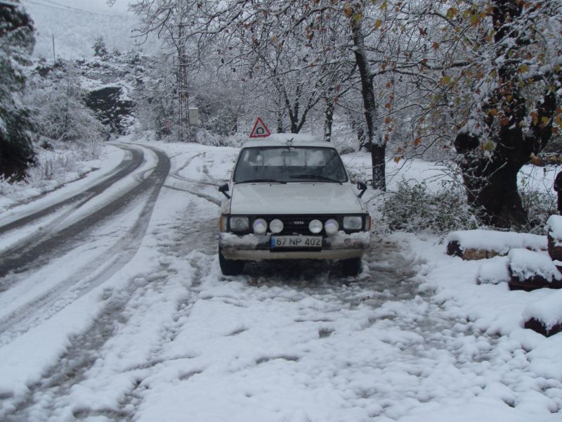 SDC14615.jpg