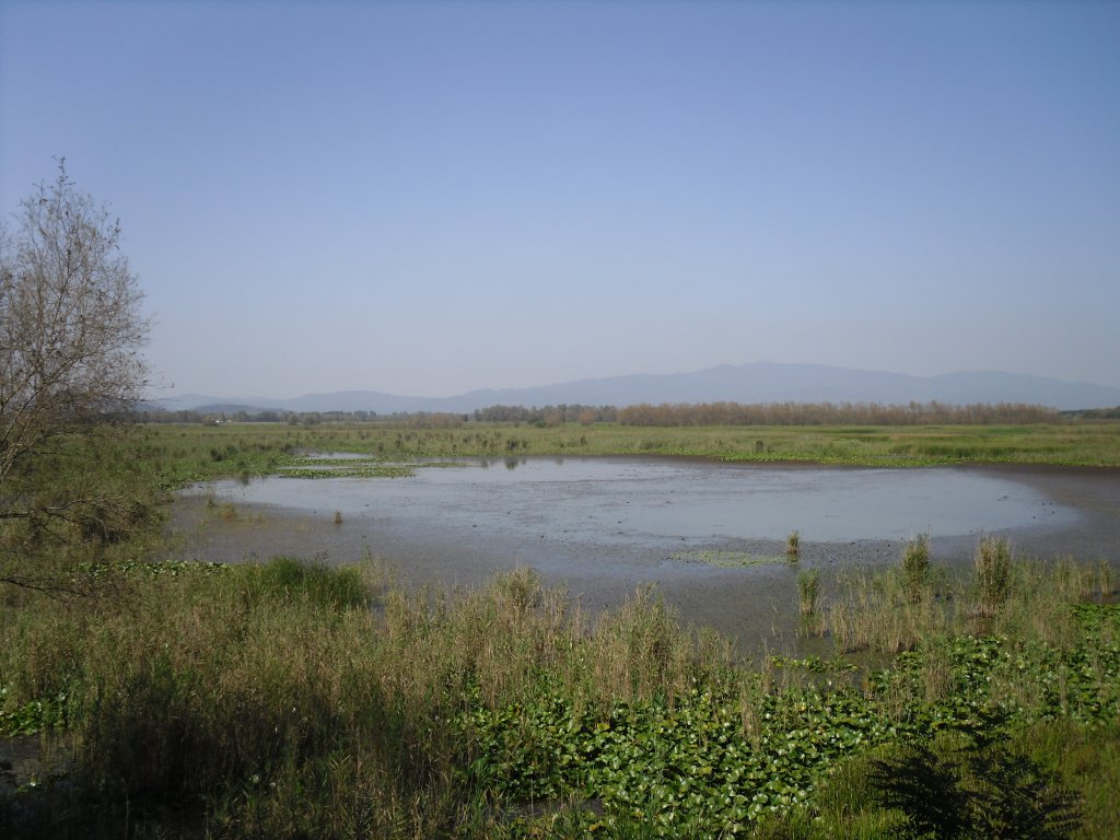 SDC15209.JPG