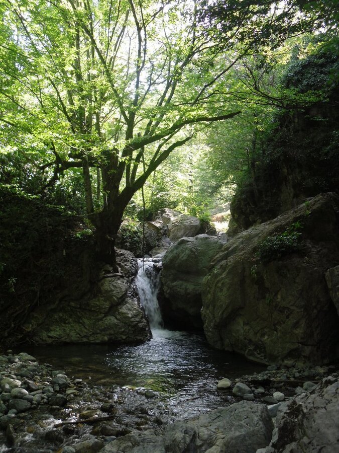 SDC15217.JPG