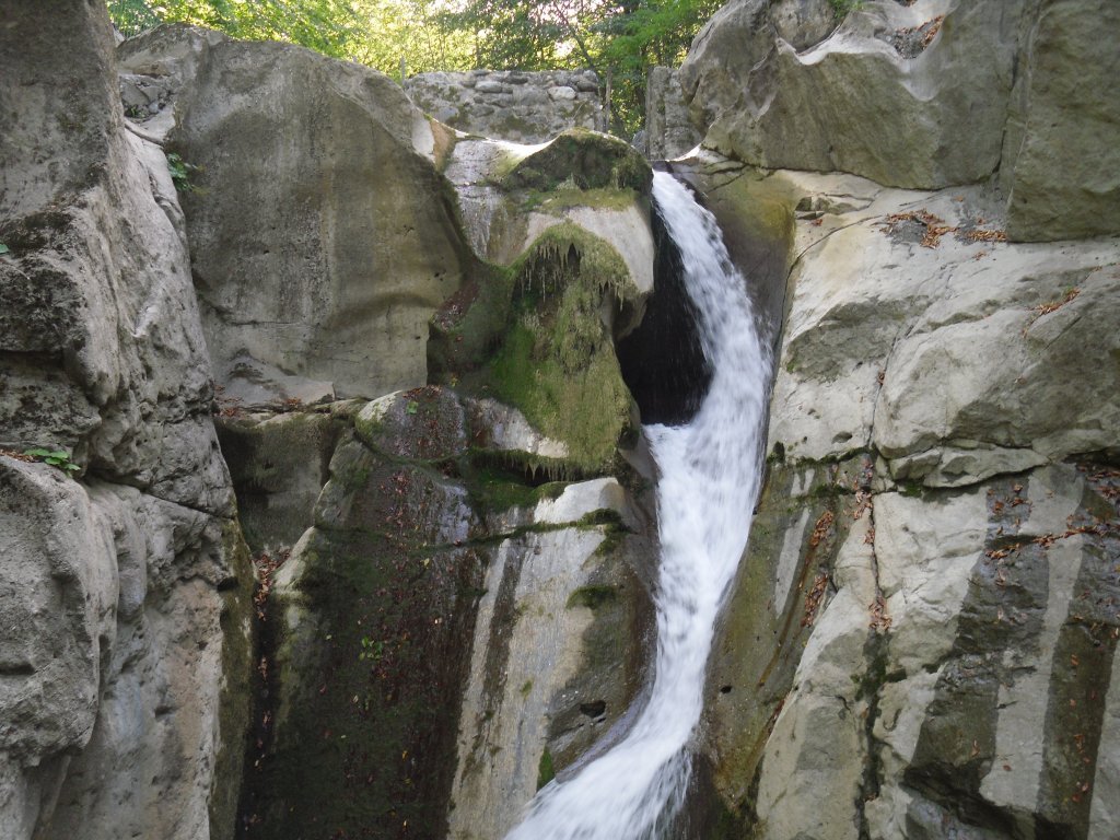 SDC15258.JPG