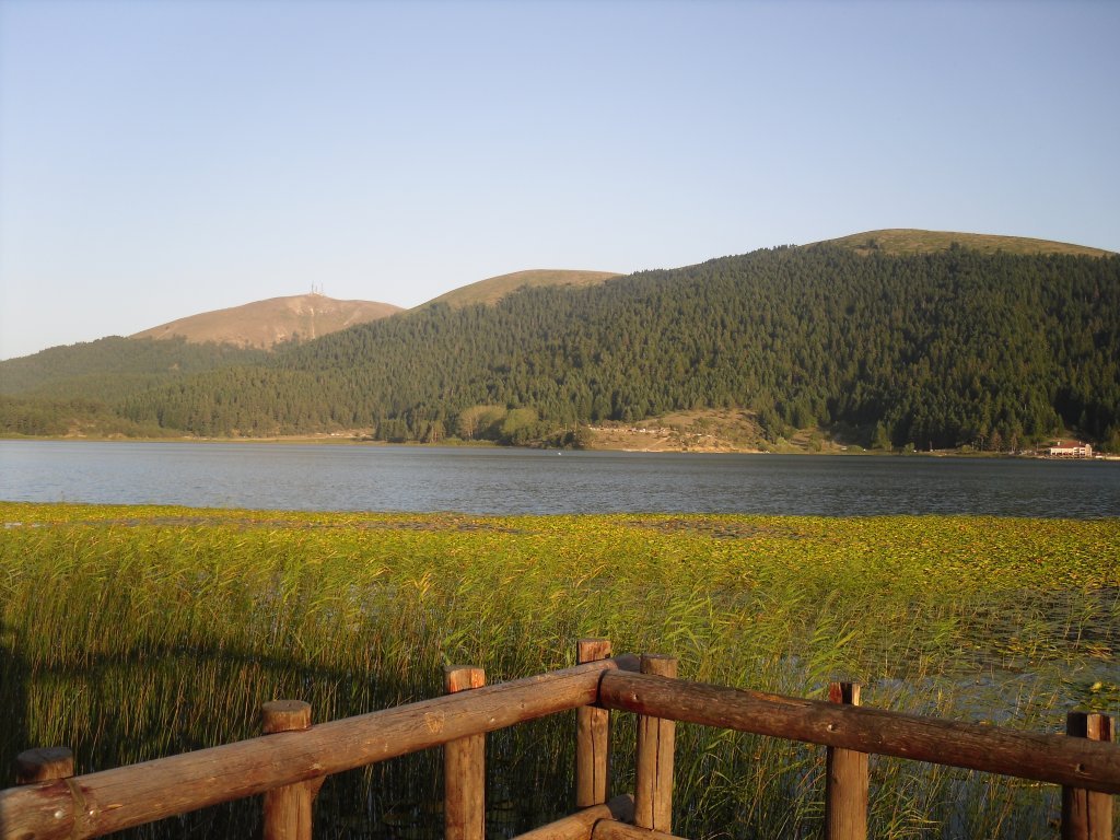 SDC15307.JPG