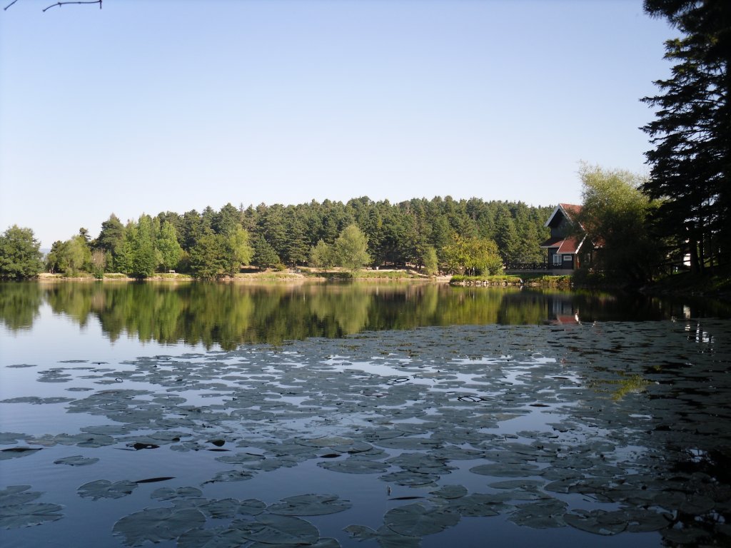 SDC15377.JPG