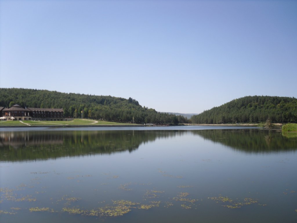 SDC15416.JPG