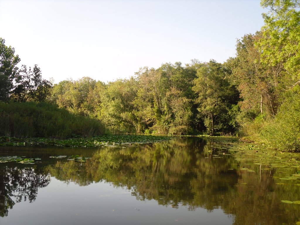SDC15544.JPG