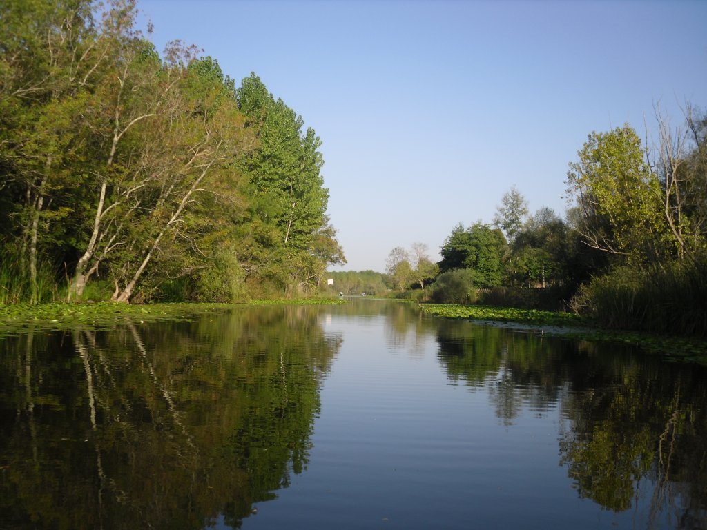SDC15576.JPG