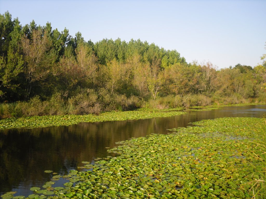 SDC15624.JPG