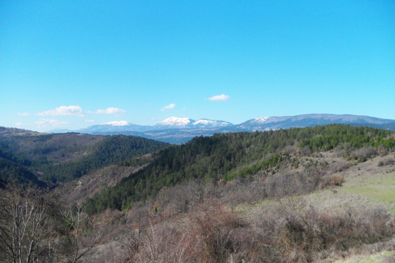 SDC15870.jpg