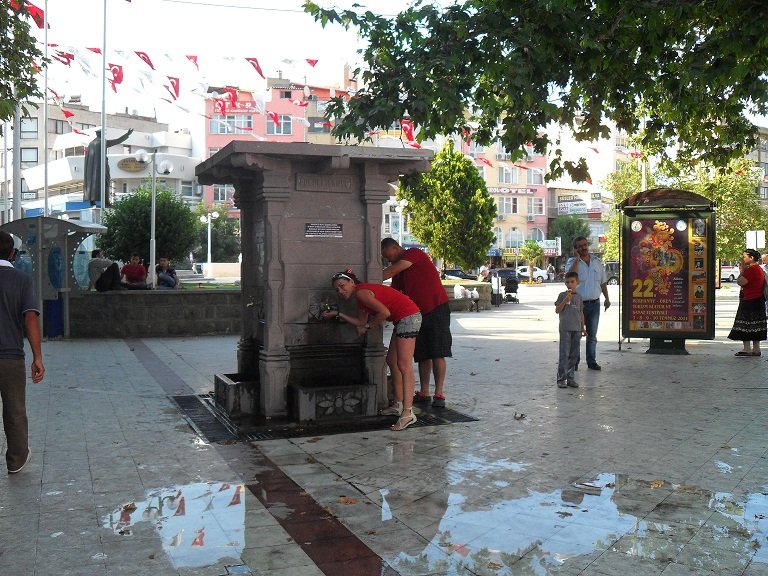 SDC16136.JPG