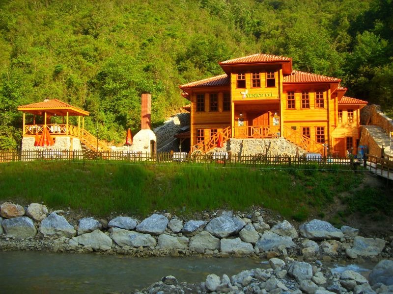 SDC16805.jpg