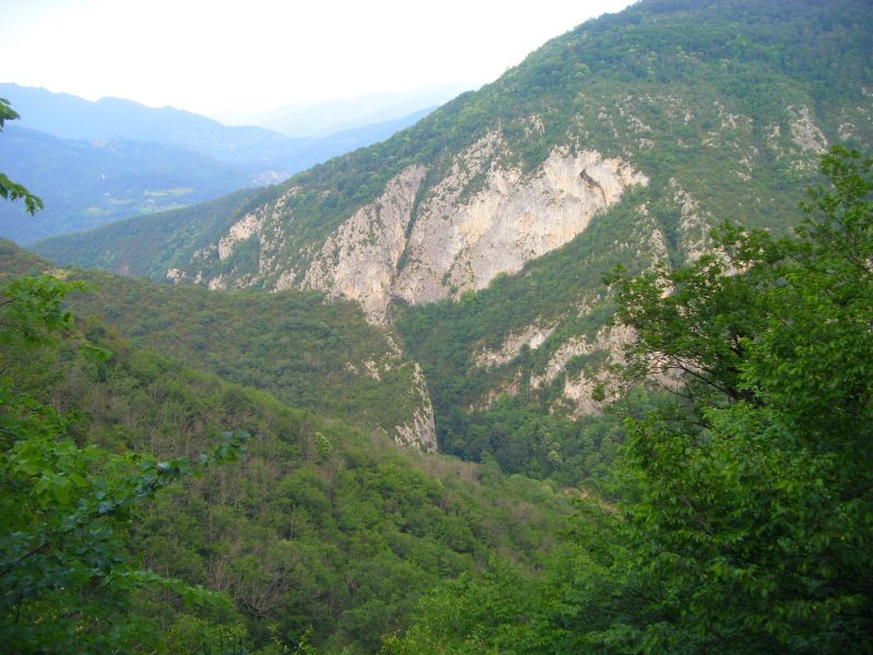 SDC16842.jpg