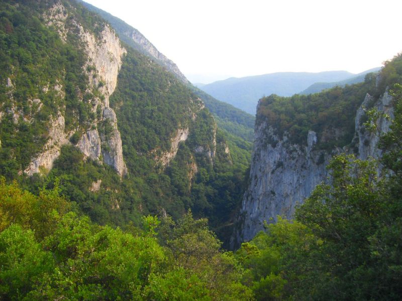 SDC16846.jpg
