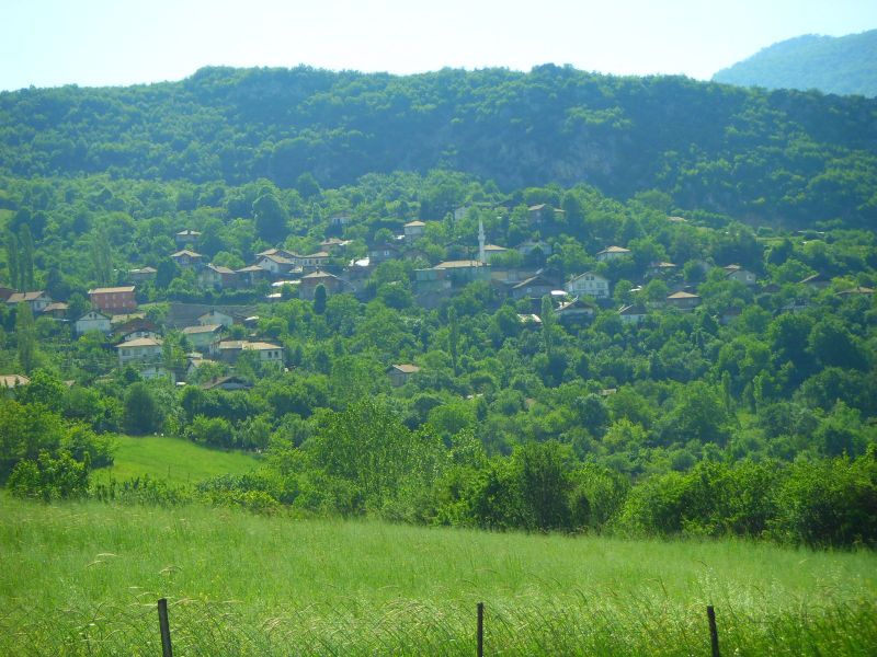 SDC16851.jpg