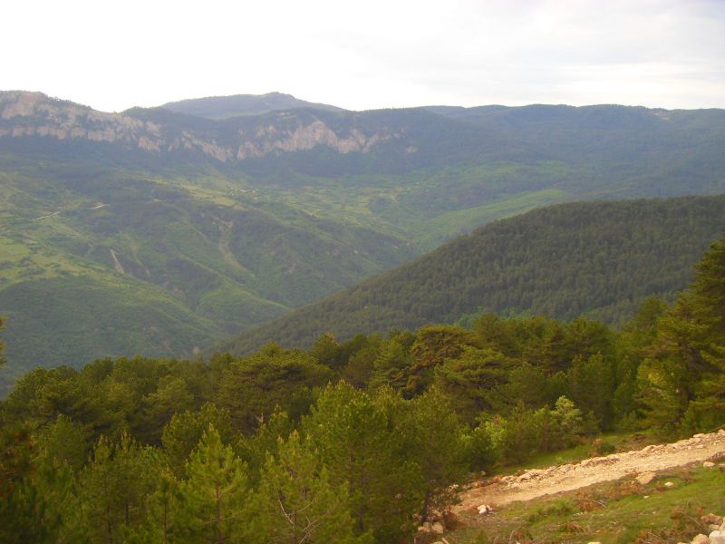 SDC16872.jpg