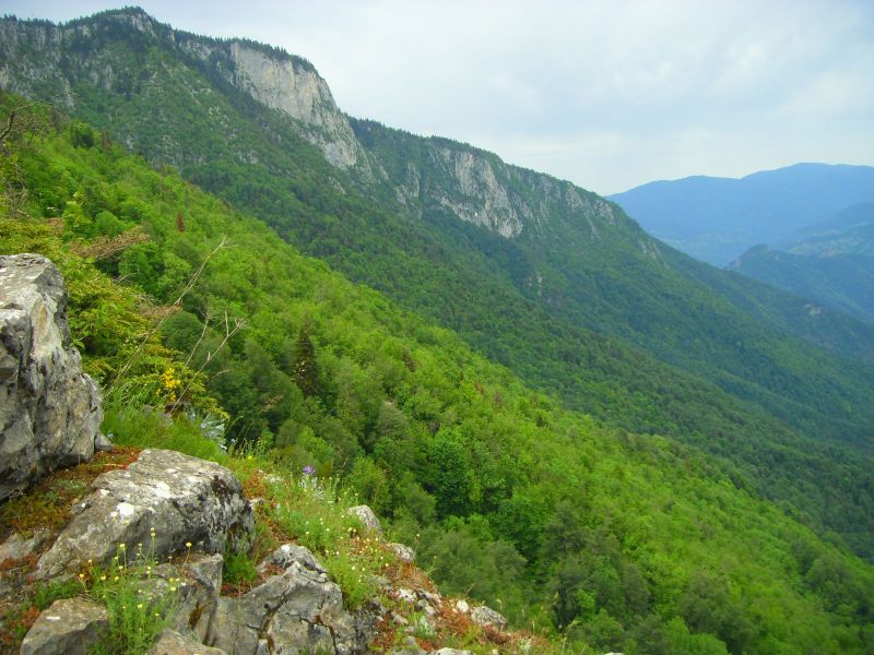 SDC16888.jpg