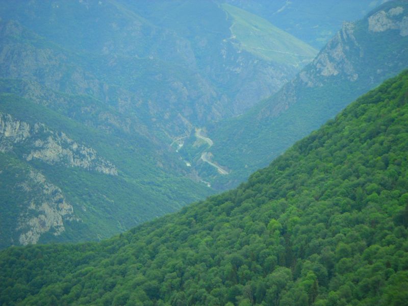SDC16893.jpg