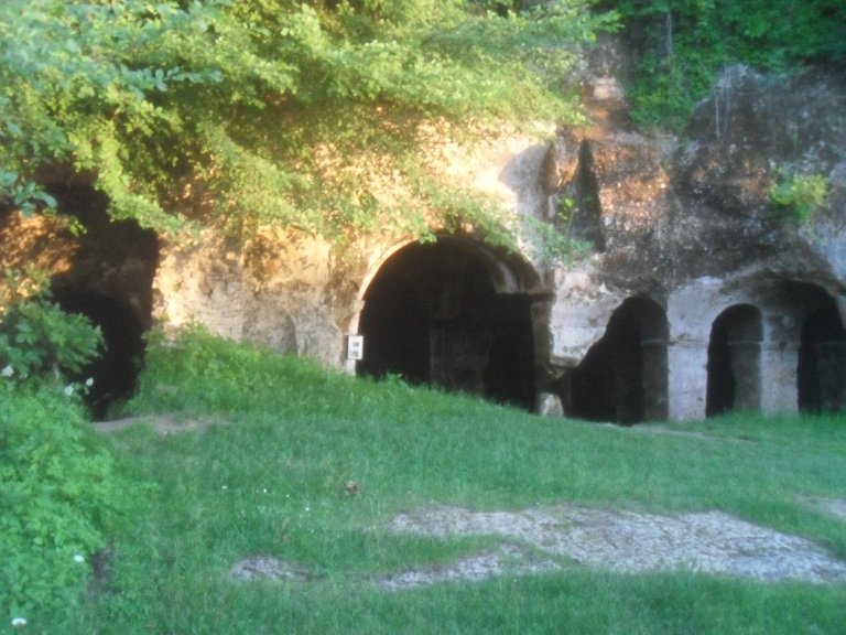 SDC17558.JPG