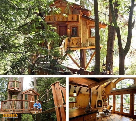 seattle-tree-house-architectural-designers.jpg