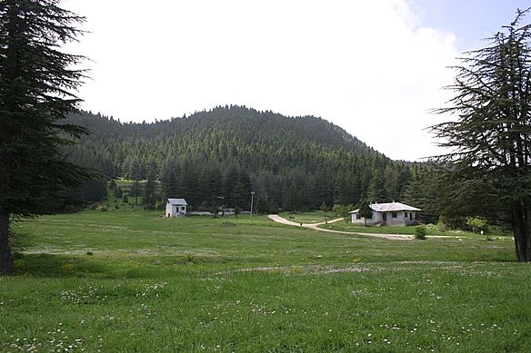 seda4.jpg