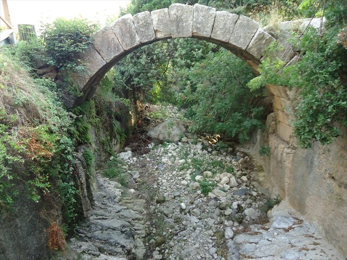 Seleuika.jpg