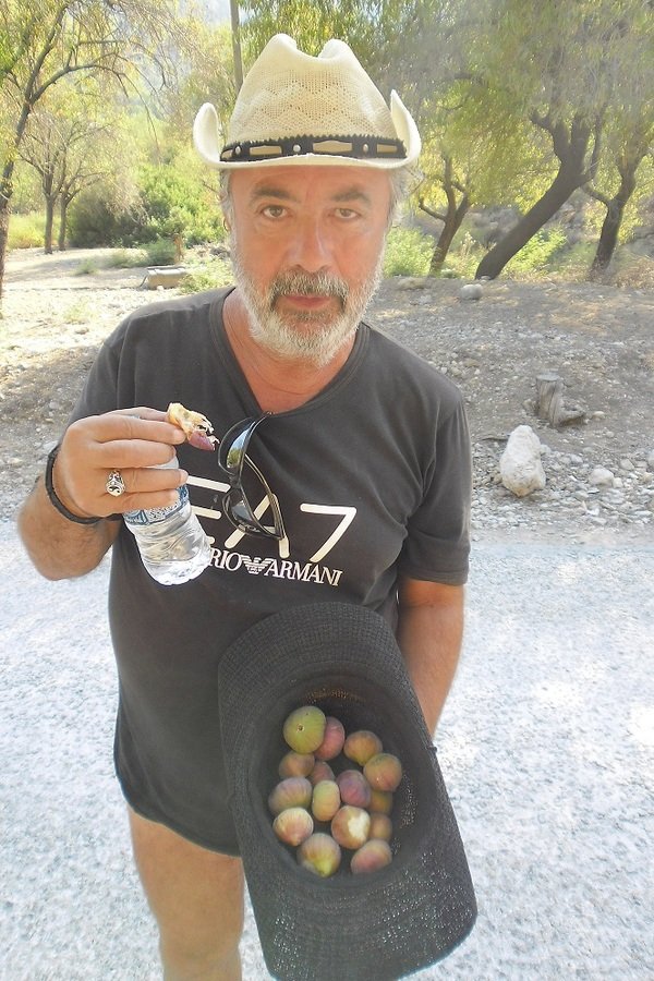 Selimiye ÃƒÂƒÃ‚Â„ÃƒÂ‚Ã‚Â°nciri.JPG