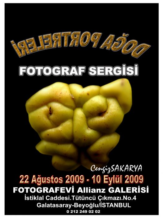 SERGÃƒÂƒÃ‚Â„ÃƒÂ‚Ã‚Â°-AFÃƒÂƒÃ‚Â„ÃƒÂ‚Ã‚Â°ÃƒÂƒÃ‚Â…ÃƒÂ‚Ã‚ÂžÃƒÂƒÃ‚Â„ÃƒÂ‚Ã‚Â°-6.jpg