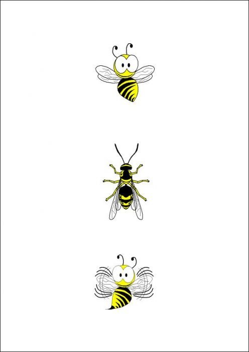 sertem41_wasp.jpg