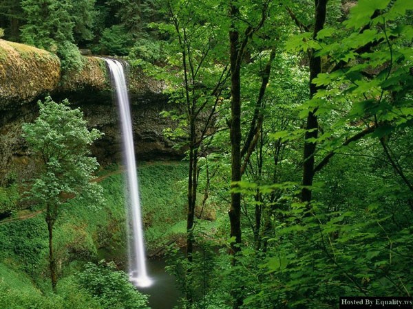 Silver Falls State Park, Oregon.jpg