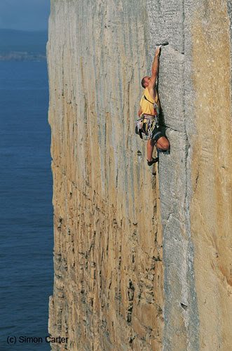simon_carter_031.jpg