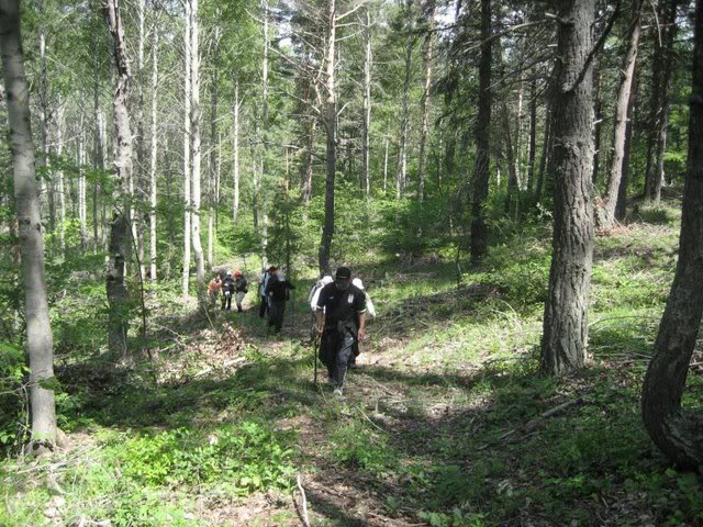 skdagi-2008037.jpg