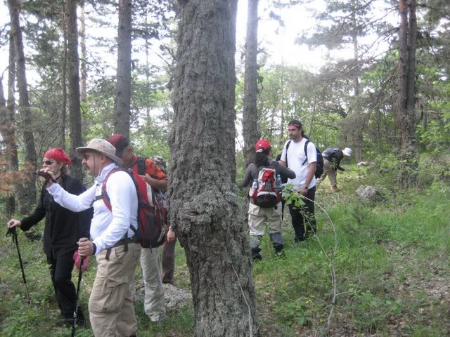 skdagi-2008050.jpg