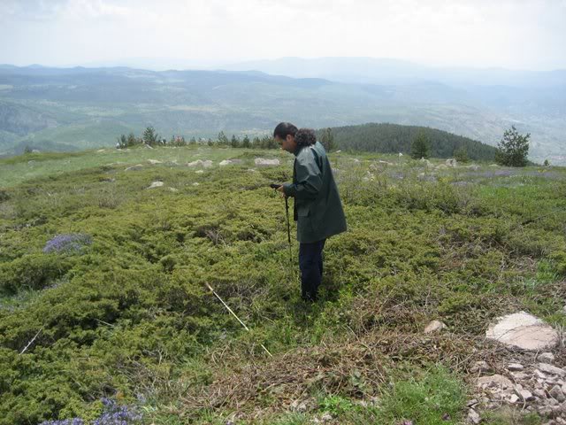 skdagi-2008135.jpg