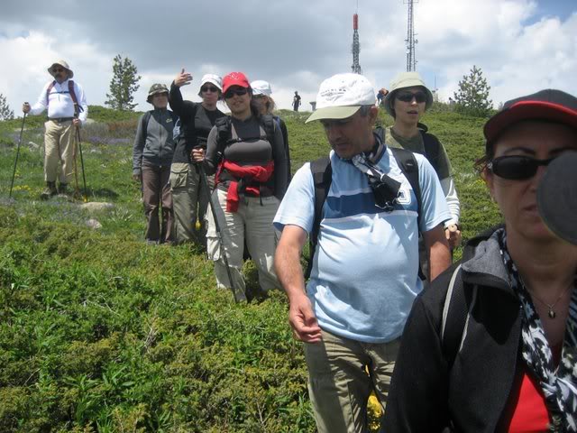skdagi-2008137.jpg
