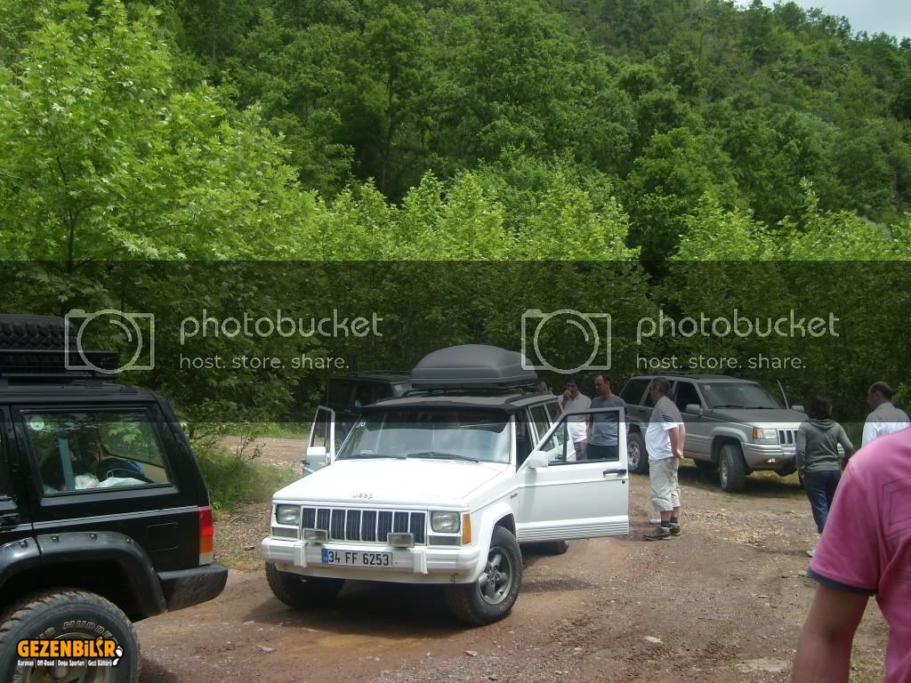 SL270351.jpg
