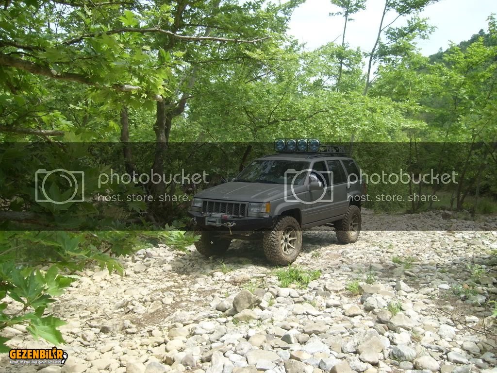 SL270364.jpg