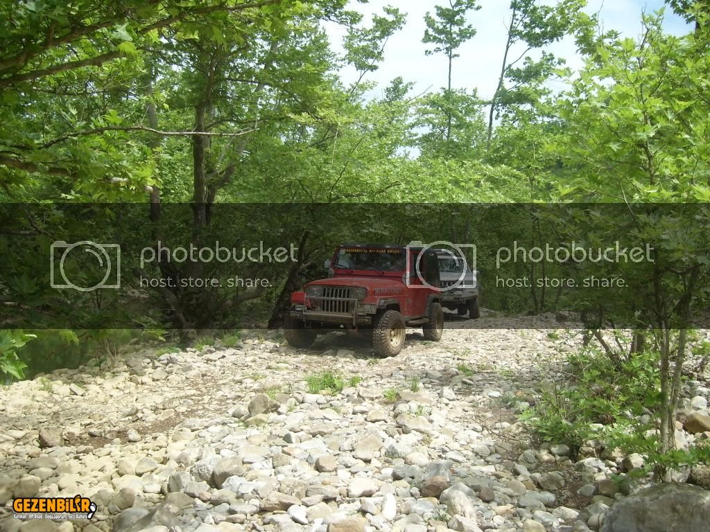 SL270368.jpg