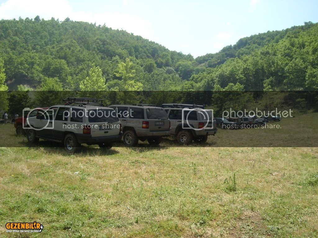 SL270373.jpg