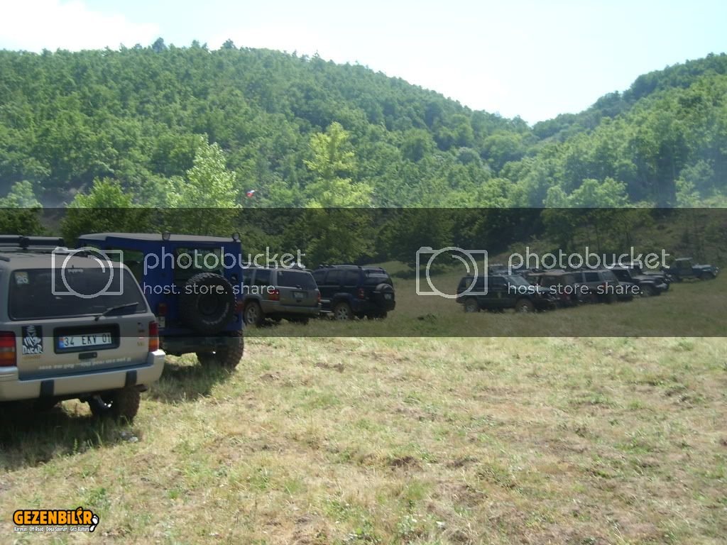 SL270377.jpg