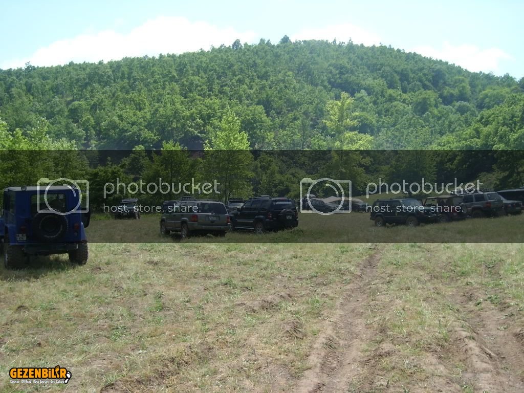 SL270378.jpg